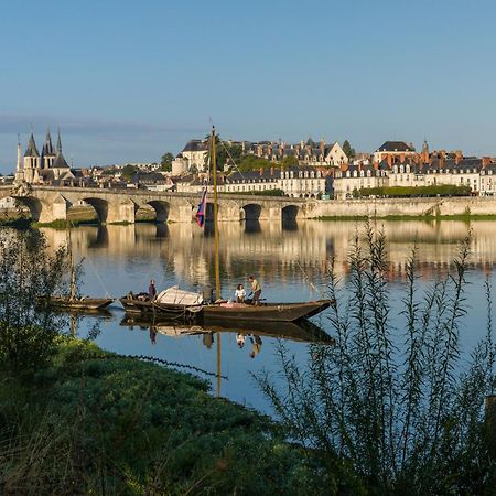 Le Wilson - Vue Imprenable Sur La Loire Et Le Chateau De Блуа Экстерьер фото