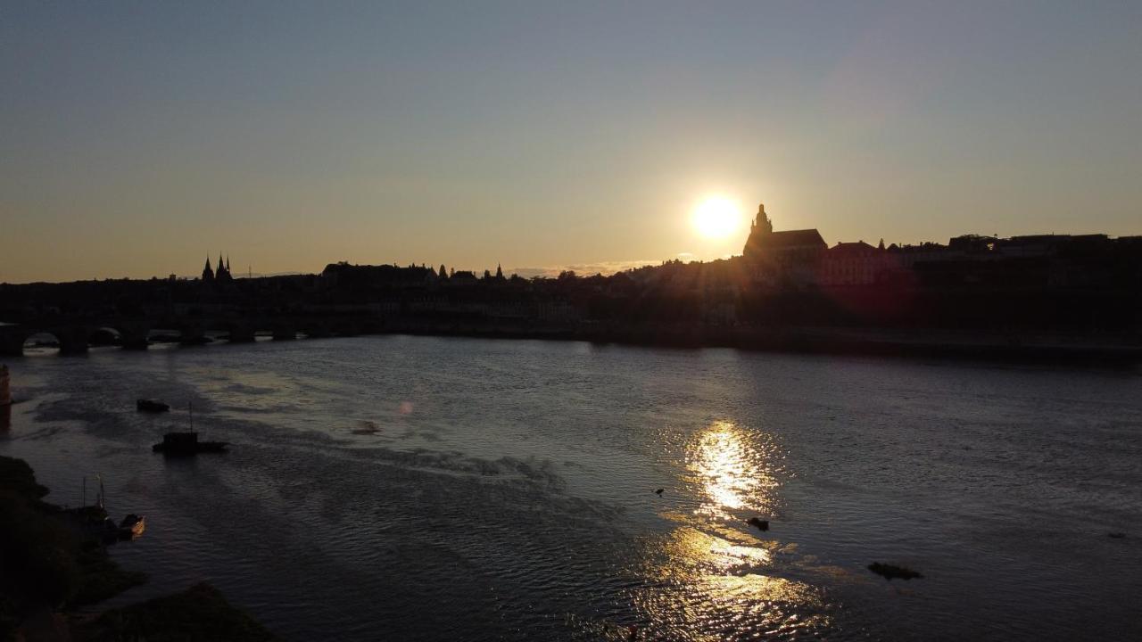 Le Wilson - Vue Imprenable Sur La Loire Et Le Chateau De Блуа Экстерьер фото